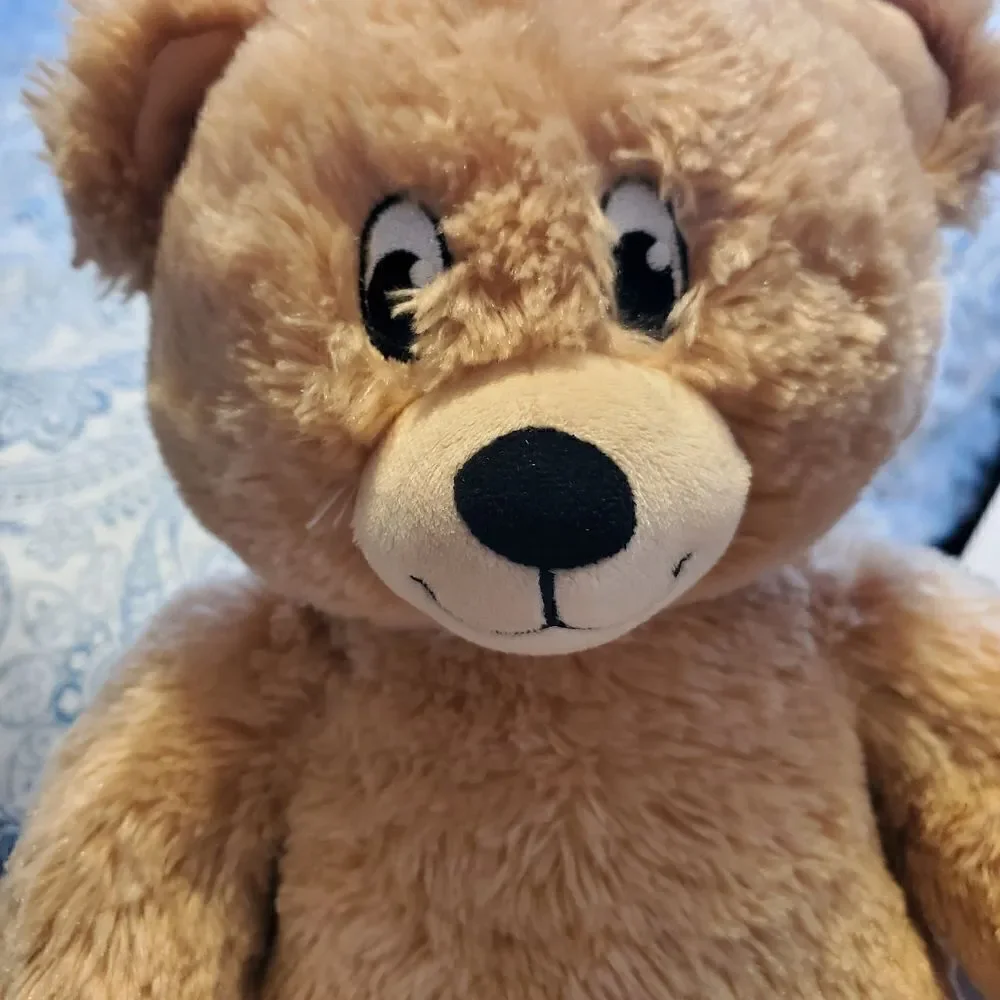 Build a bear workshop